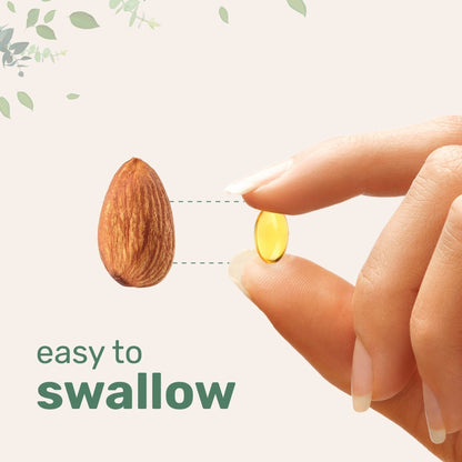 Oregano-Samenöl - Gymfit