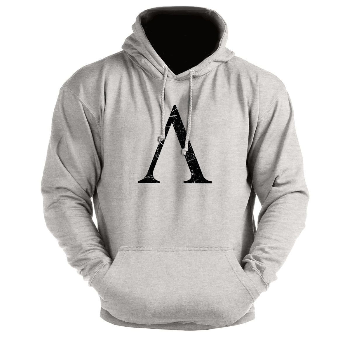 Spartan-Symbol - Gym-Hoodie - Gymfit