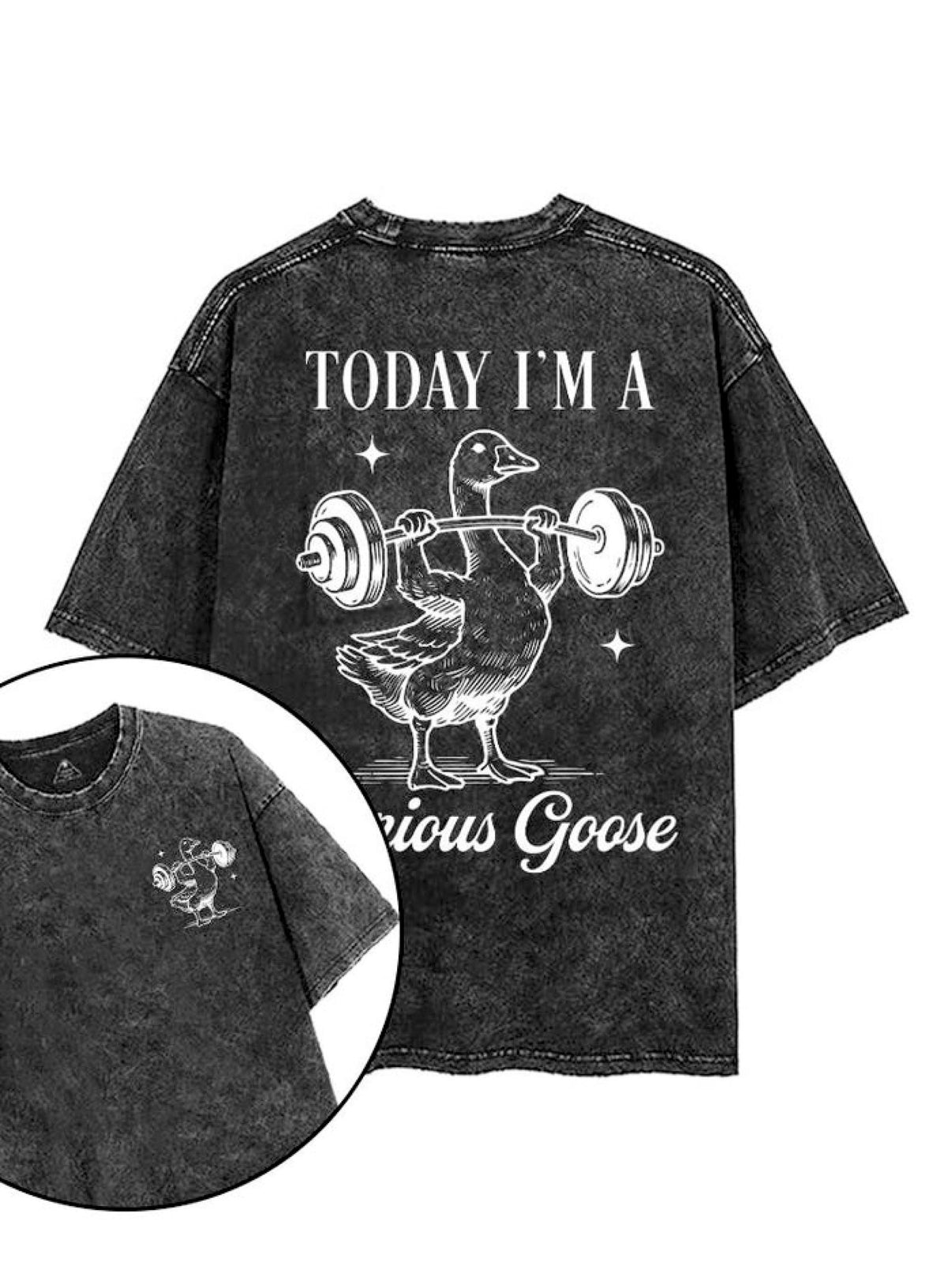 TODAY I'M A SEROIUS GOOSE T - SHIRT - Ironfit