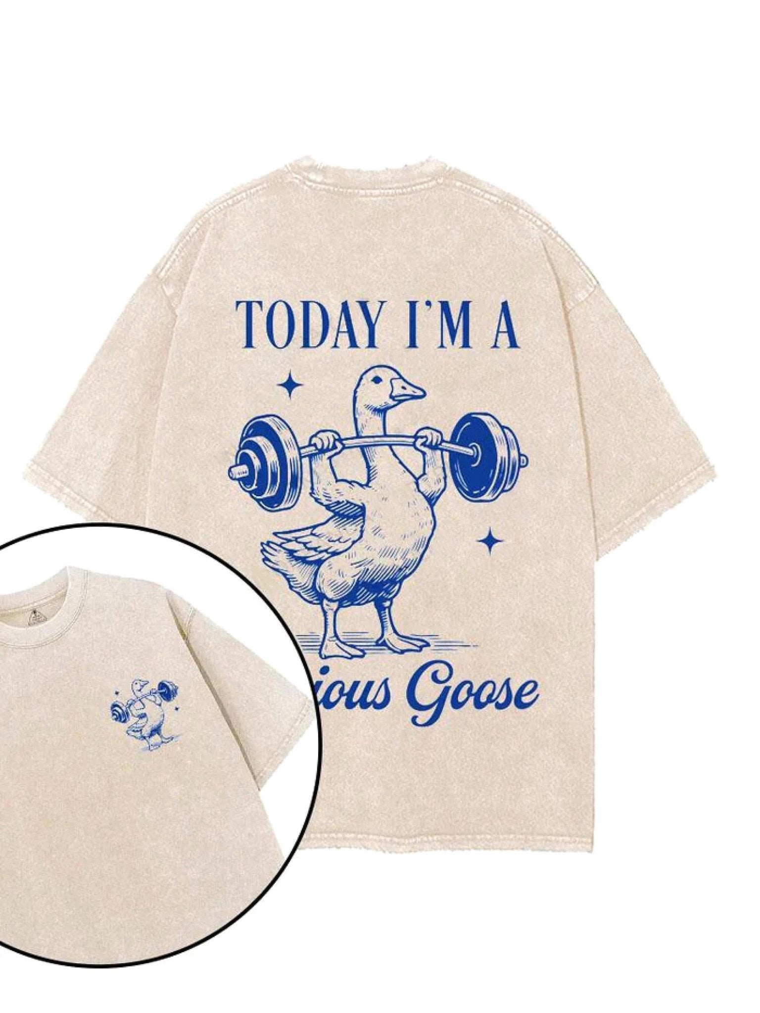 TODAY I'M A SEROIUS GOOSE T - SHIRT - Ironfit